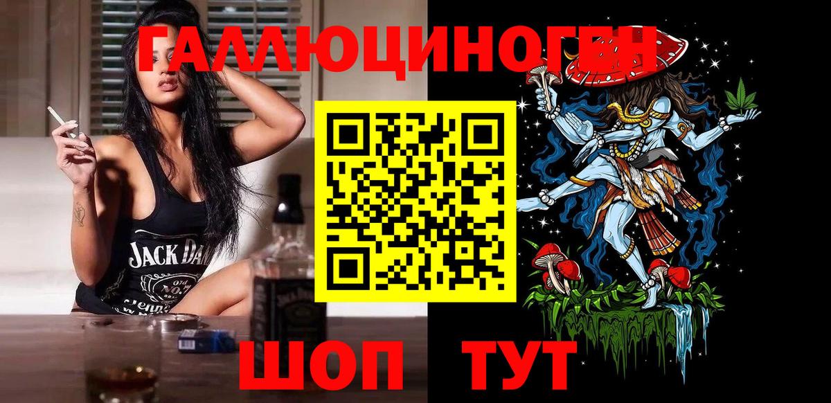 как найти наркотики  Вход с VPN  Новокубанск  Псилоцибиновые грибы Psilocybe  Галлюциногенные грибы Psilocybe 
