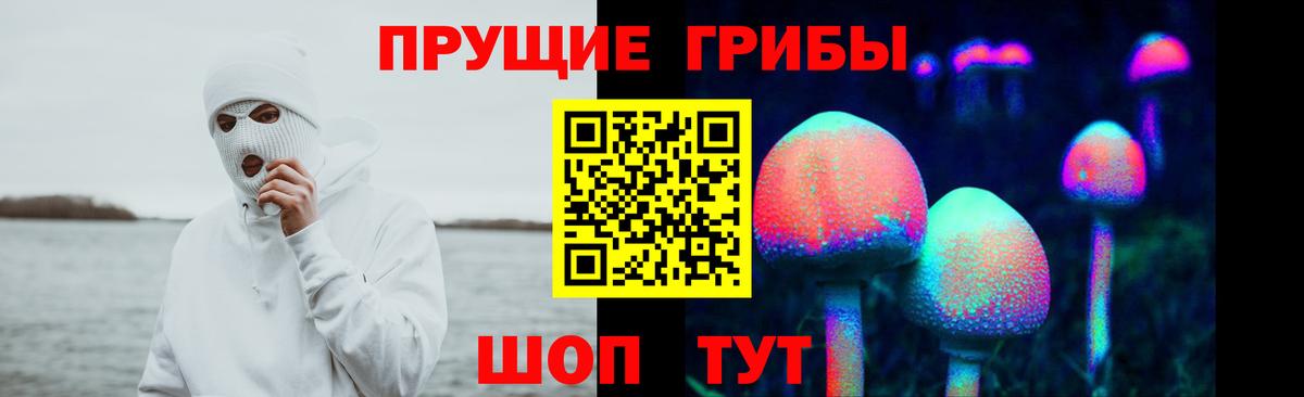 Галлюциногенные грибы Magic Shrooms Новокубанск