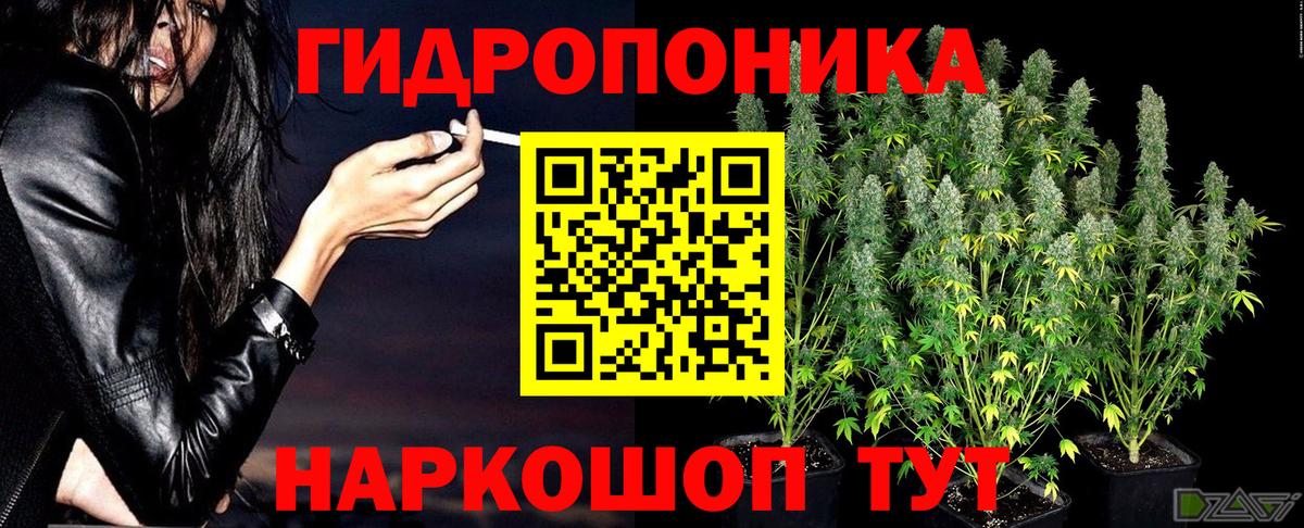 Марихуана Bruce Banner  Каннабис сатива  Новокубанск  Вход с VPN  Канабис сатива  Конопля марихуана 